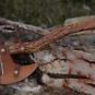 custom handmade carbon steel hunting Viking axe rosewood handle gift for him groomsmen gift