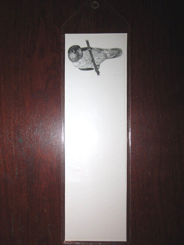 To The Point Design Studio Black Headed Caique Parrot Bird Sketch Bookmark