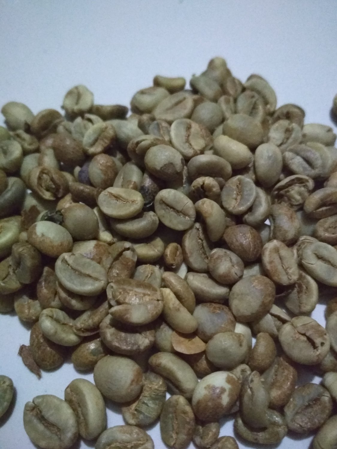 green coffee beans