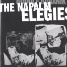Rudolf Baranik: The Napalm Elegies