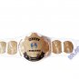 WWF WINGED EAGLE WORLD WRESTLING CHAMPIONSHIP BELT Adult size (2mm brass)