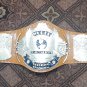 WWF WINGED EAGLE WORLD WRESTLING CHAMPIONSHIP BELT Adult size (2mm )