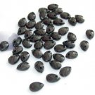 100 Pieces of Black Acrylic Faceted Tear Drop Beads Free Shipping