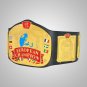WWF, WWE European World Wrestling Heavyweight Championship title belt