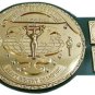 WWF  / WWWF Big Green Worldwide Wrestling Heavyweight Championship Belt Backlund Shiekh