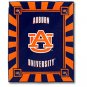 Auburn University Tigers Panel