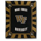 Wake Forest University Demon Deacon Panel