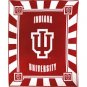 Indiana University Hoosiers Panel
