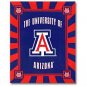 University of Arizona Panel