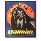 Batman Begins Panel