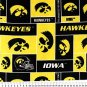 University of Iowa Hawkeyes 36x60