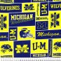 University of Michigan Wolverines 36x60