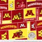 University of Minnesota Gophers 32x60