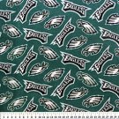 NFL Philadelphia Eagles 72x60