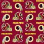Washington Redskins 36x60