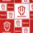 Indiana University Hoosiers 36x60