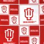 Indiana University Hoosiers 36x60