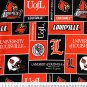 University of Louisville Cardinals 36x60