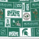 Michigan State University Spartans 36x60