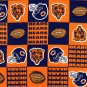 NFL Chicago Bears 36x60
