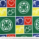 4H Club Allover 36x60