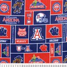 University of Arizona Wildcats 36x60