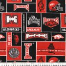 University of Arkansas Razorbacks 72x60