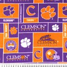 Clemson University Tigers 36x60