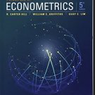 Principles of Econometrics 5th Edition test bank pdf version