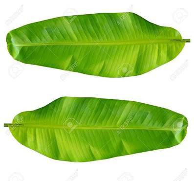 Banana leaves