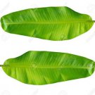 Banana leaves