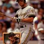 1995 Donruss 206 Jay Bell