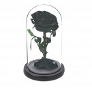 Forever Rose Flowers Black Glass Doom Birthday Valentines Day Gothic Halloween