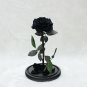 Forever Rose Flowers Black Glass Doom Birthday Valentines Day Gothic Halloween