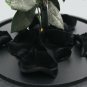 Forever Rose Flowers Black Glass Doom Birthday Valentines Day Gothic Halloween