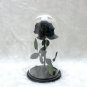Forever Rose Flowers Black Glass Doom Birthday Valentines Day Gothic Halloween