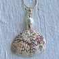 Seashell Wire Wrapped Necklace with Pearl Bead Gold Plated Mermaid Necklace