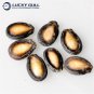 Watermelon Seeds, For Agricultural 35 seeds