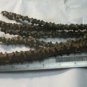 TINOSPORA CORDIFOLIA 5 CUTTING TINOSPORA CORDIFOLIA HEART-LEAVED MOONSEED GUDUCHI HERB PLANT FRESH