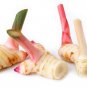 Benefits of galangal Benefits of galangal helps with appetite (Galangal) Nourish the body (rhizome)