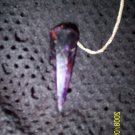 Amethyst Pendulum