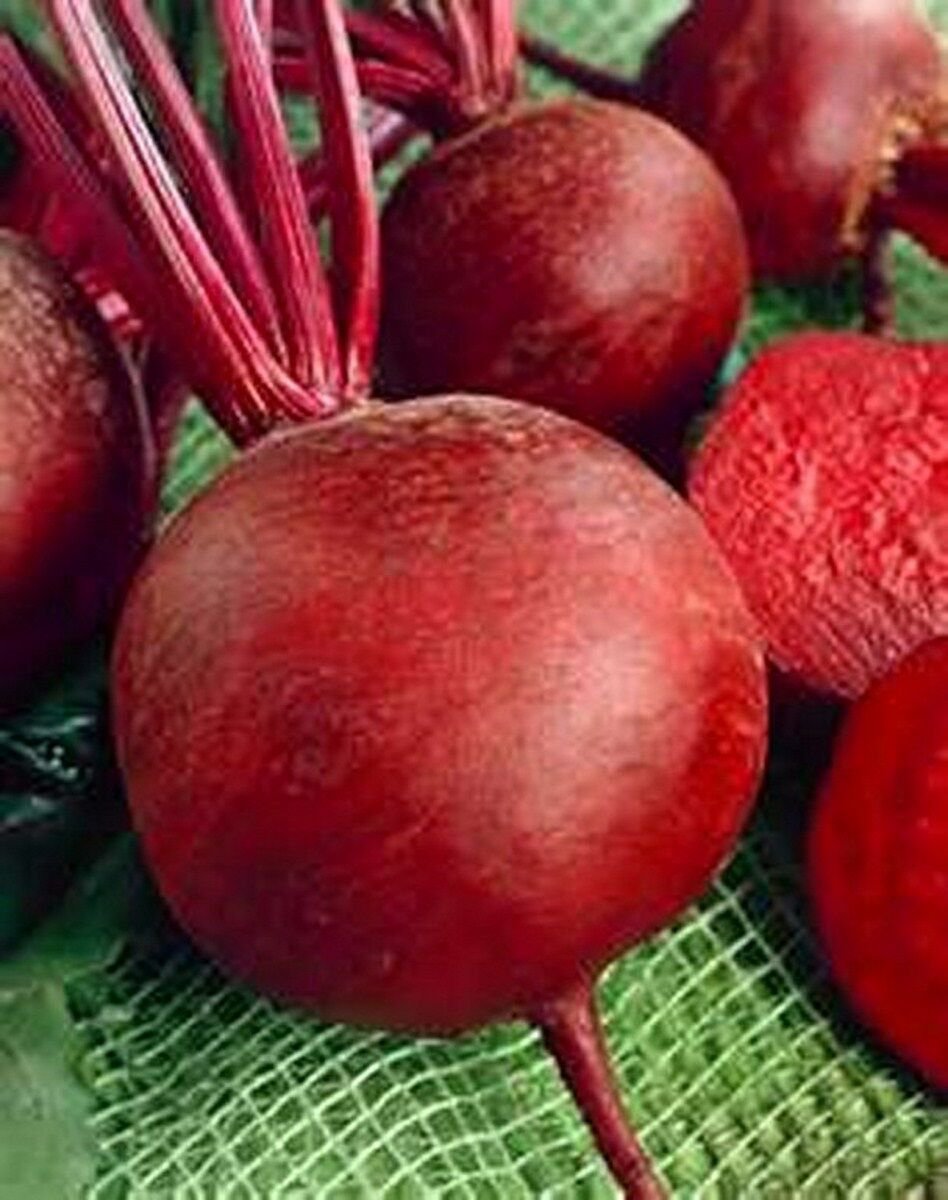 Jammas5 Beets- Detroit Red- 100 Seeds