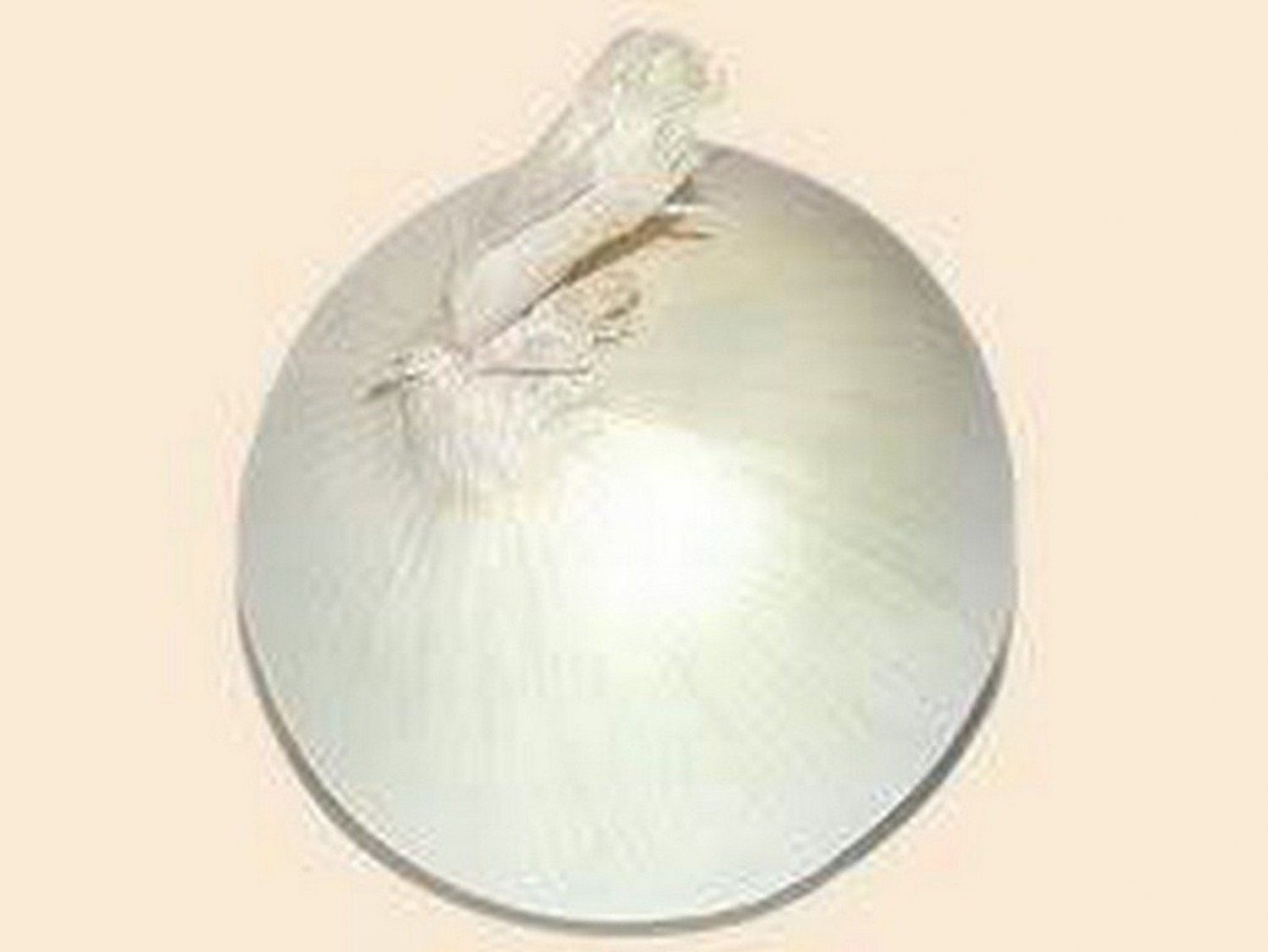 Jammas5 Onion- Sweet White Spanish- 200 Seeds -