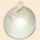 Jammas5 Onion- Sweet White Spanish- 200 Seeds -