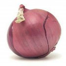 Jammas5 Onion- Red- Sweet- 200 Seeds -