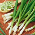 Jammas5 Onion- White Bunching - 500 Seeds -