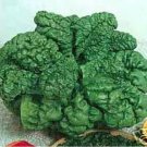 Jammas5 Spinach- Bloomsdale- 100 Seeds -