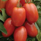 Jammas5 Tomato- Roma- 50 Seeds -