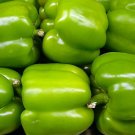 Jammas5 200 BIG GREEN BELL PEPPER Sweet Capsicum Annuum Vegetable Seeds *Combined Ship