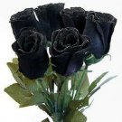 Jammas5 5 BLACK ROSE Rosa Bush Shrub Perennial Flower Seeds + Gift & Comb S/H